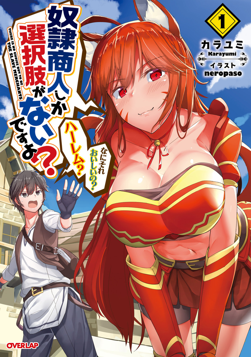 Dorei Shounin shika Sentakushi ga Nai desu yo? ~Harem? Nani Sore Oishii no?~ 第3页