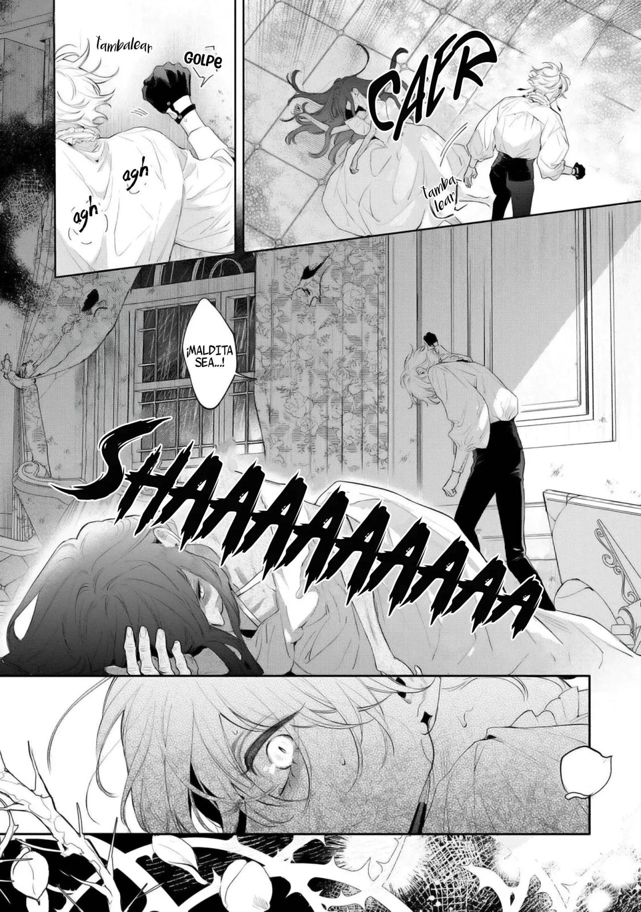 Hana Himeru Kimi no Meteor El principe de estrellas y espinas 第18页