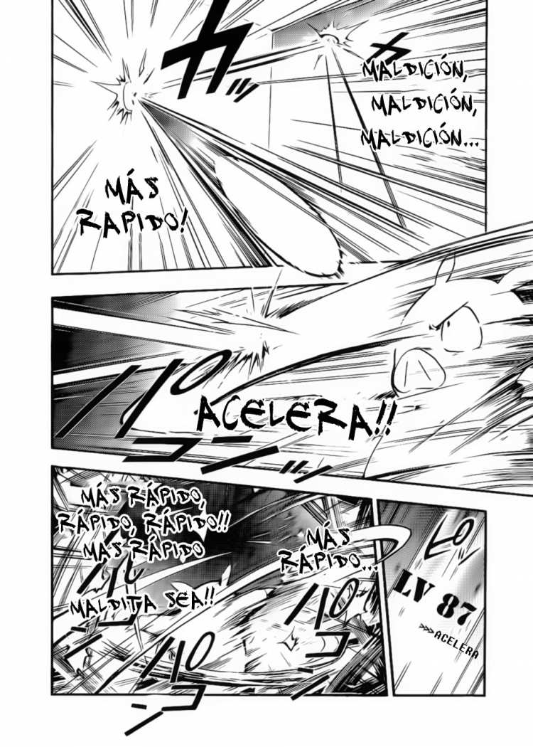 Accel World Pequeño Cerdo 第17页