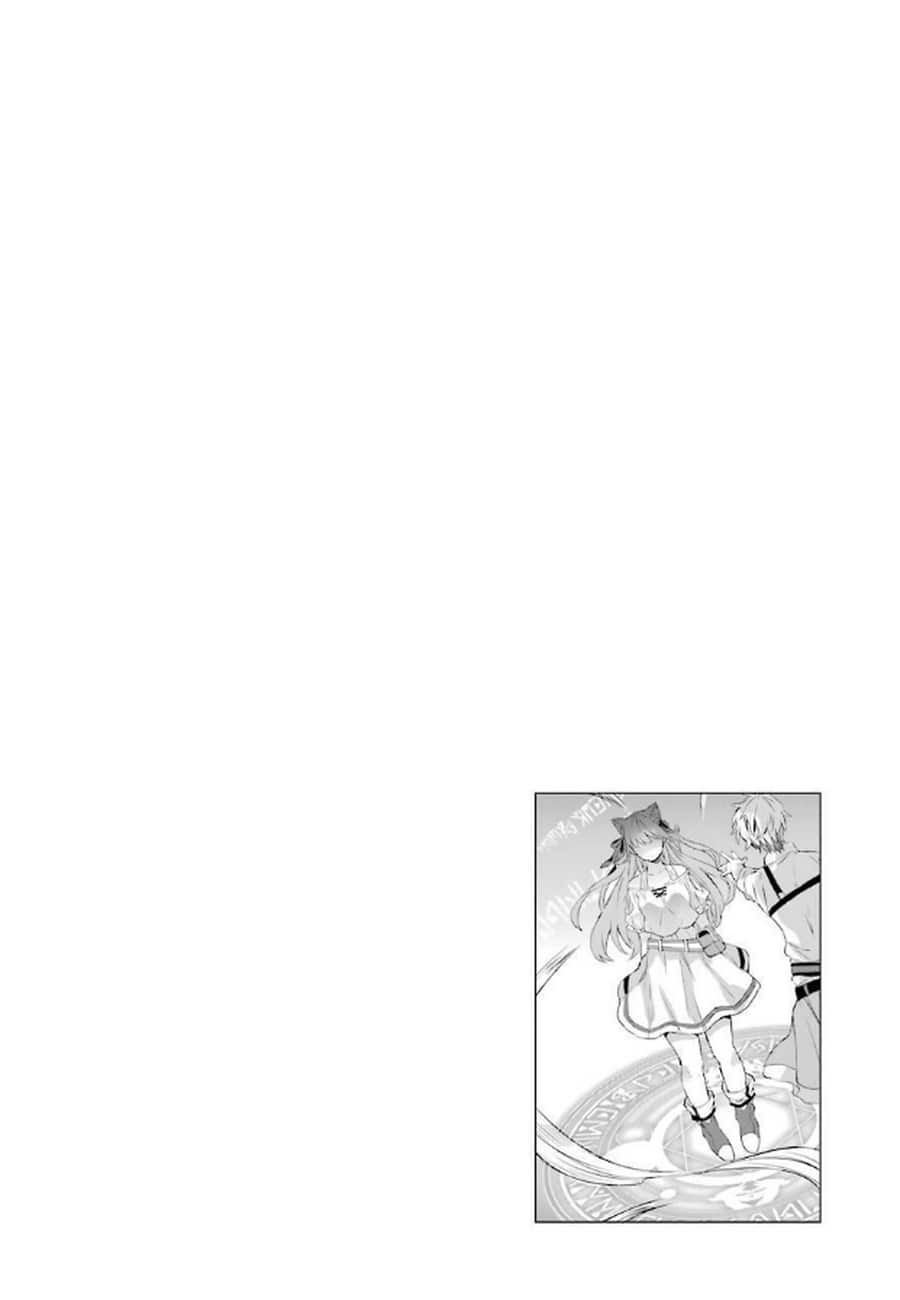 Yuusha Party wo Tsuihou sareta Beast Tamer, Saikyoushu no Nekomimi Shoujo to Deau Une race supérieure 第26页