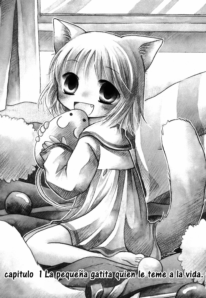 Chokotto Hime La pequeña gatita que le teme a la vida 第9页