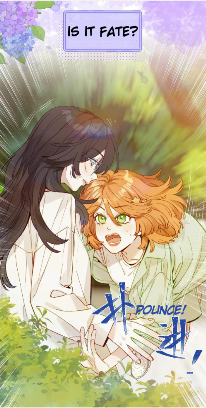 Foxes Always Lie 第3页