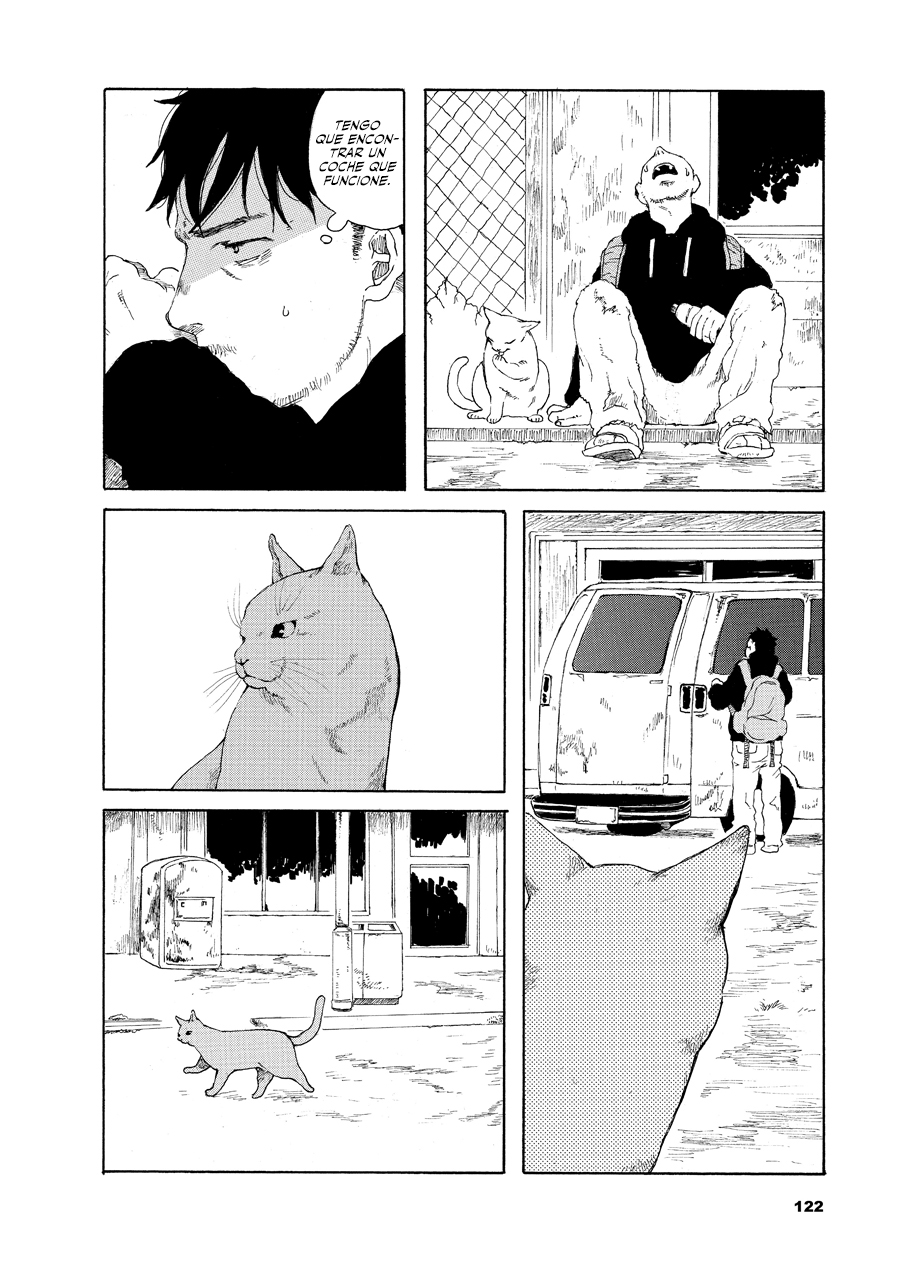 Walking Cat ¿De dónde has salido? 第5页