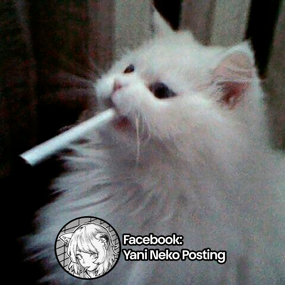 Yani Neko 4mg 第9页