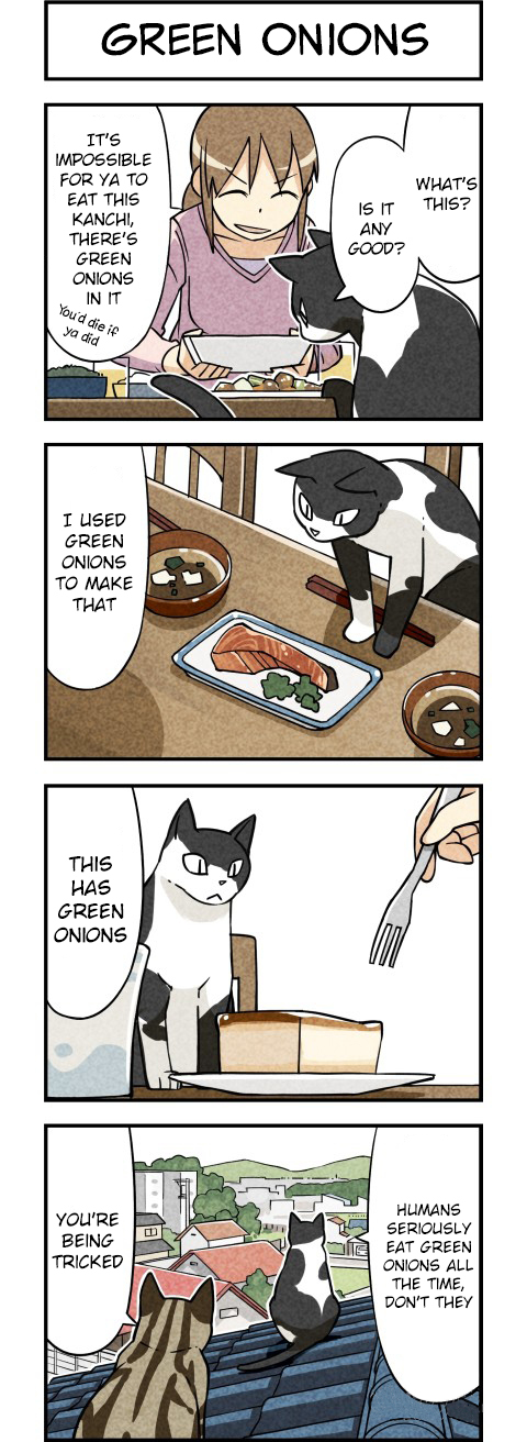 We Are Cats Vol. 1 Ch. 3 第1页
