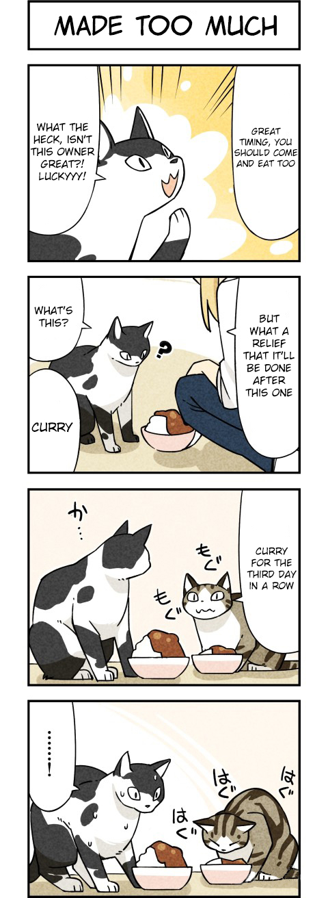 We Are Cats Vol. 1 Ch. 3 第4页