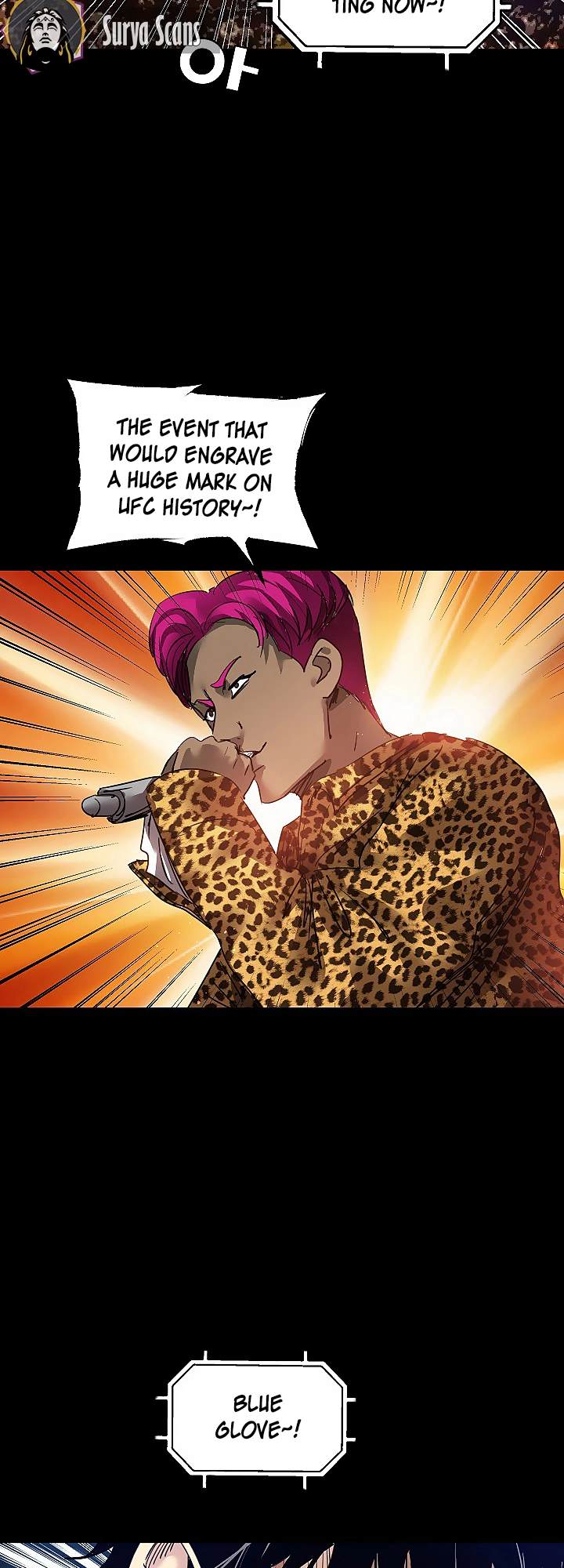 Fighters 第3页