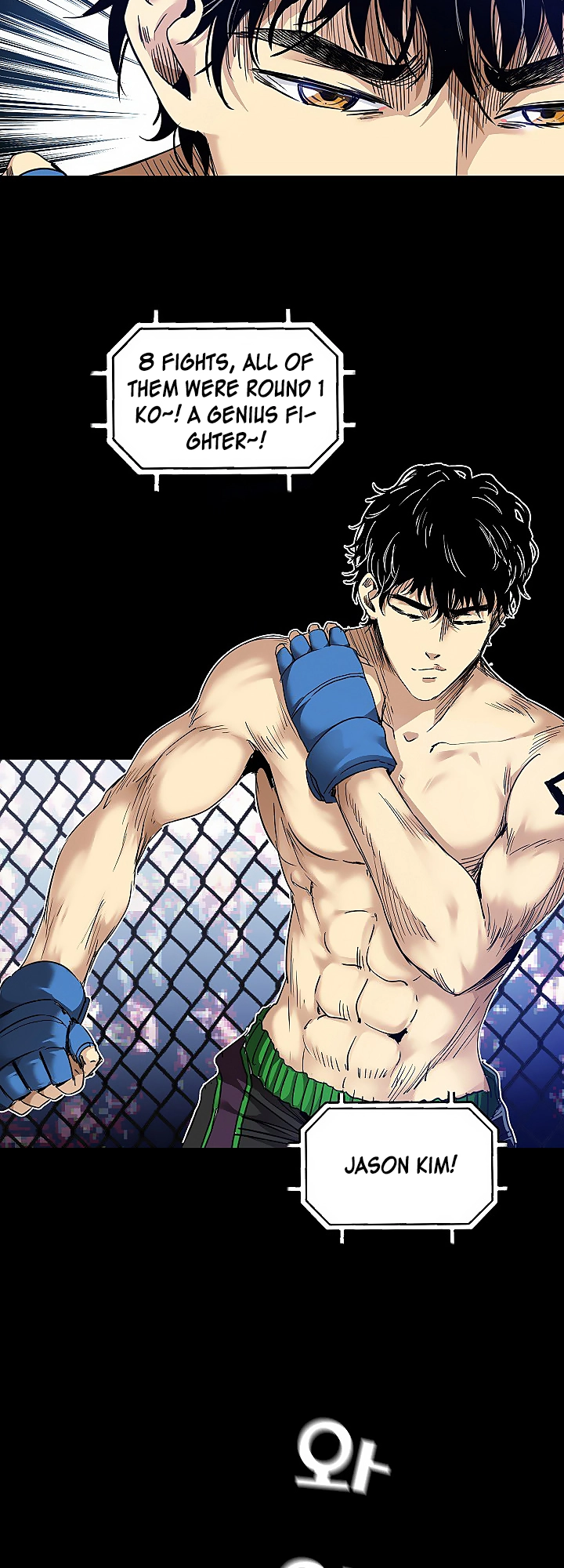 Fighters 第4页