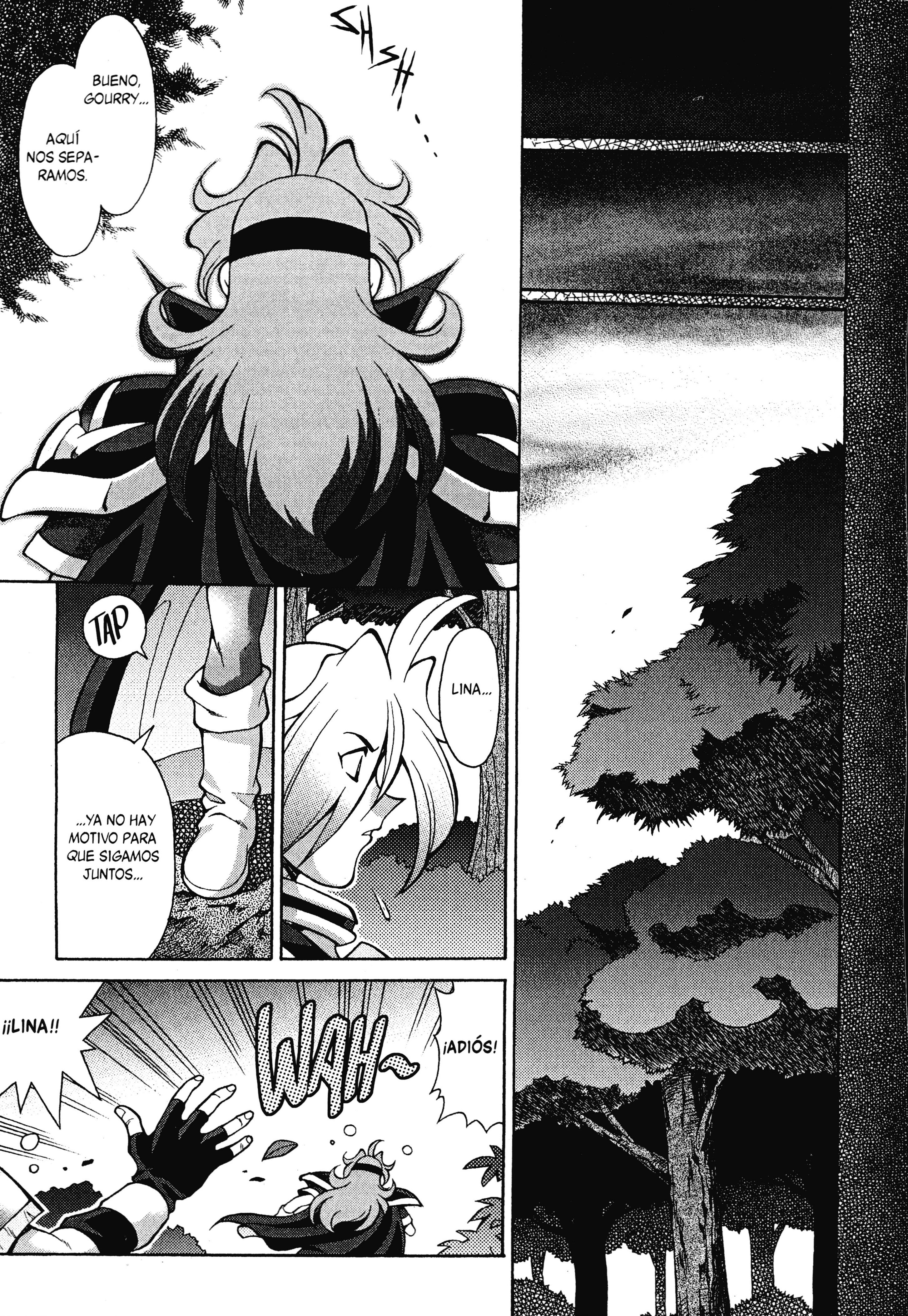 Slayers - Suiryuuou no Kishi Después de viajar a la deriva... ¿Adónde he llegado? 第11页