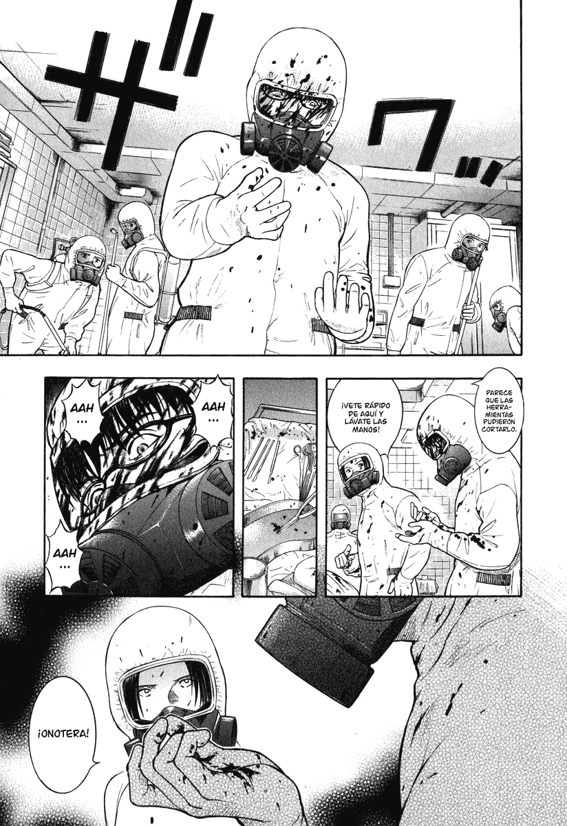 Emerging Miedo 第15页