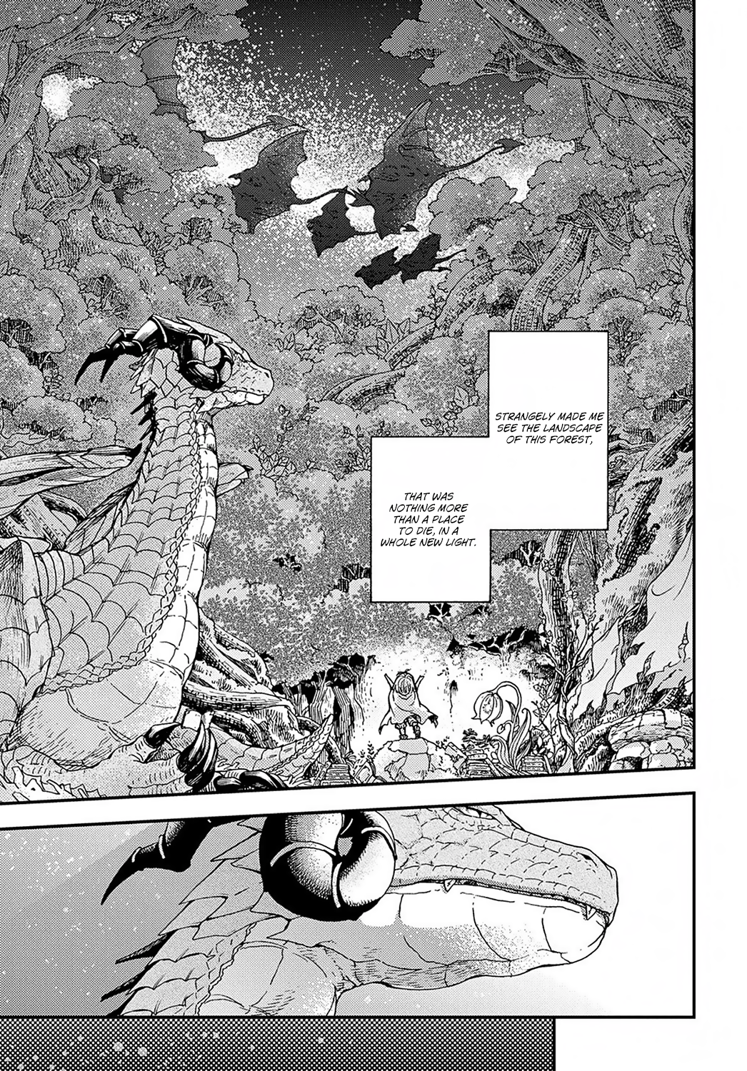 Hone Dragon no Mana Musume The old dragon is not dead yet 第19页