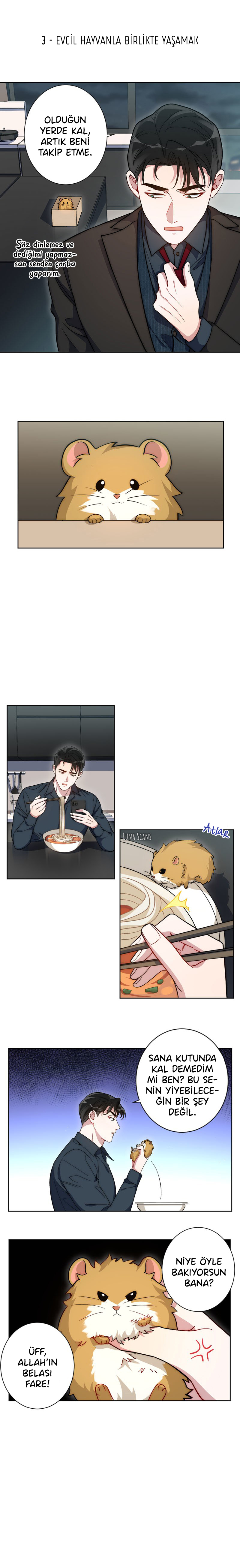No Arguing With Mr. Mo Ch. 2 第11页