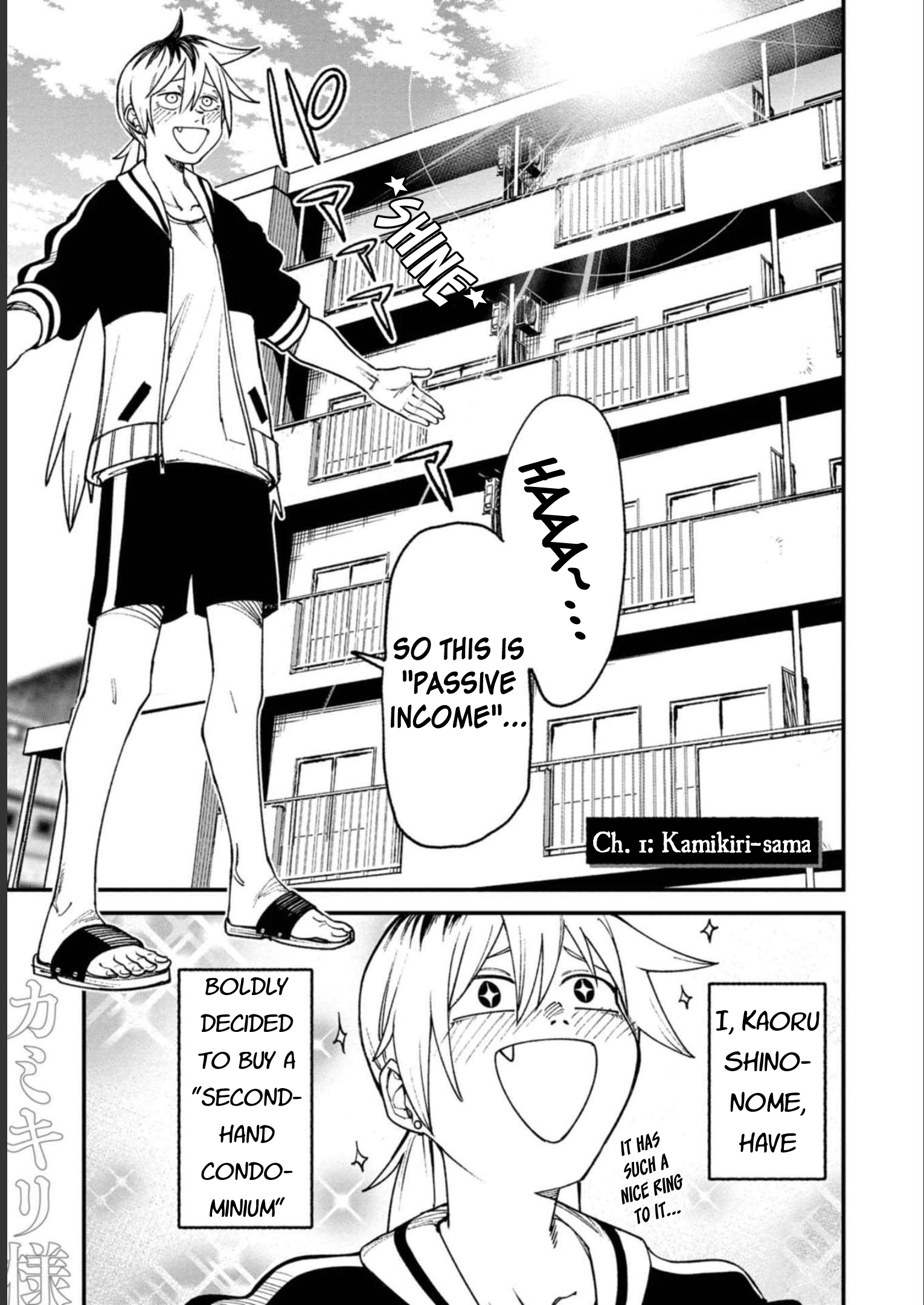 Wakeari Shinrei Mansion 第2页