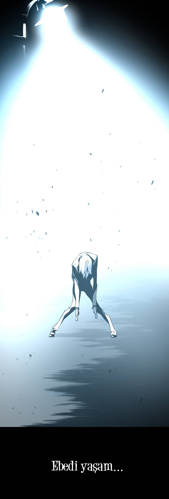 Reveries of the Moonlight 第5页