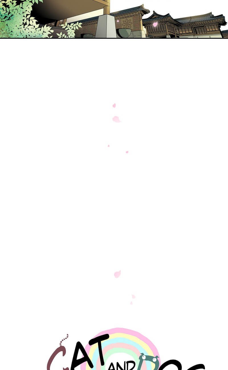 Cat and Dog Vol. 1 Ch. 1 第29页