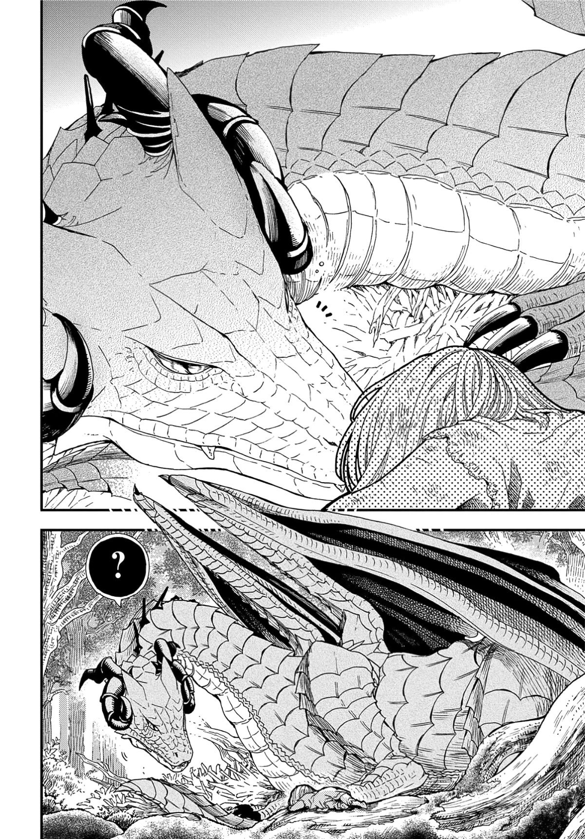 Hone Dragon no Mana Musume 第5页