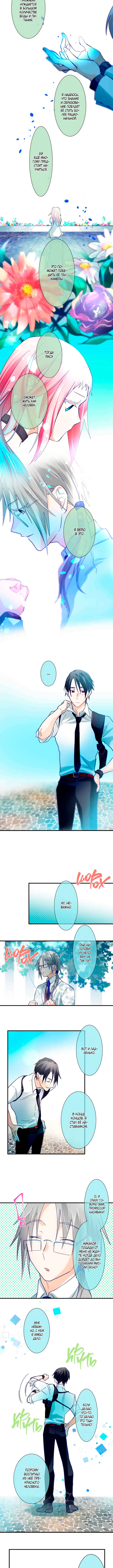 Risei no hana 第8页