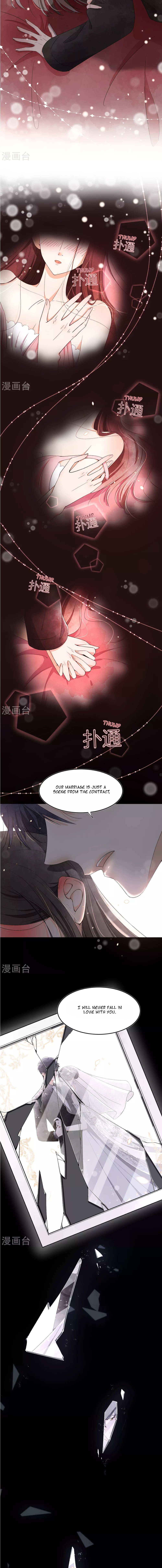 My Contracted Wife is Cold to Me 第4页