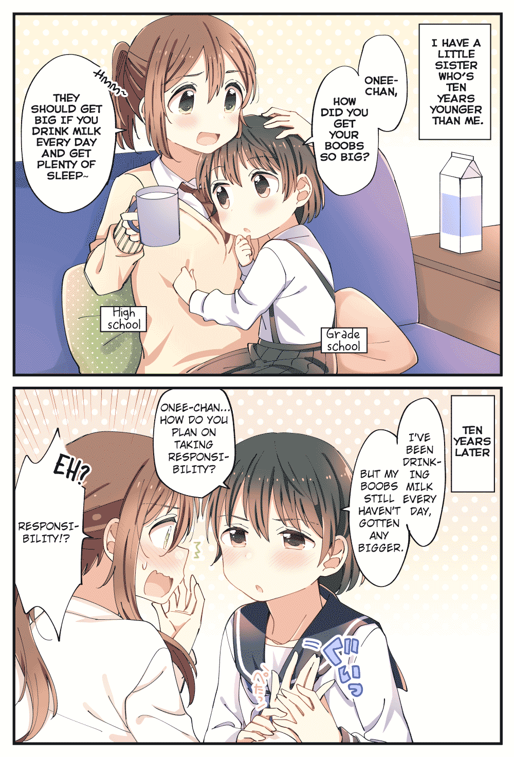 Sou iu Toshigoro ni Nacchatta Toshi no Sa Shimai Pixiv ver. 第12页